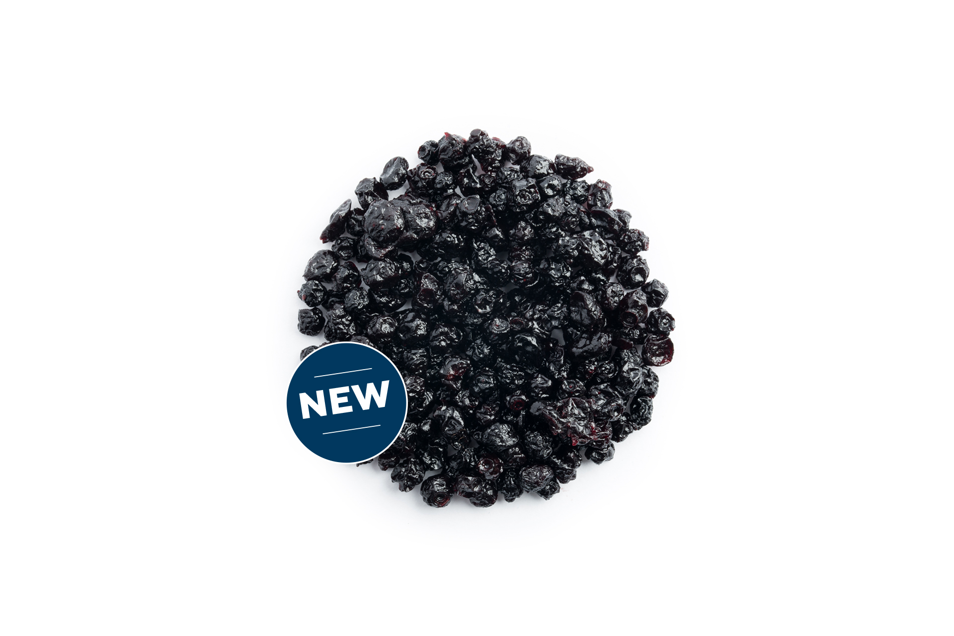 Unsweetened and soft dried wild blueberries