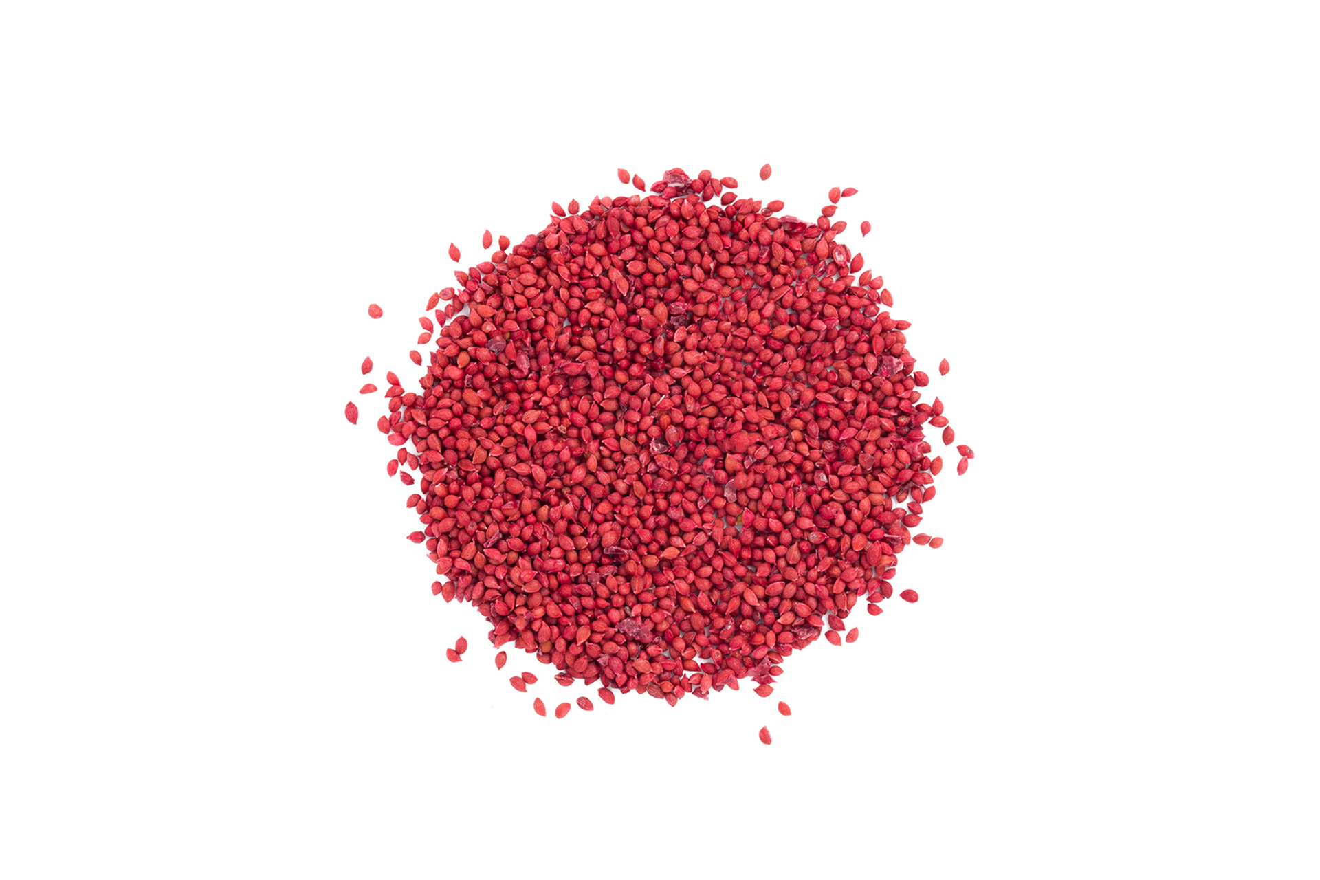 Cranberry seeds