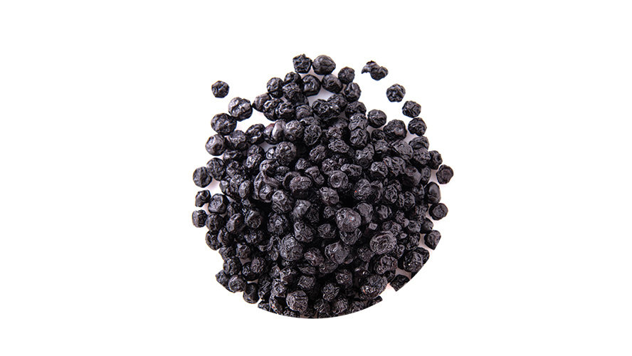 dried blueberries