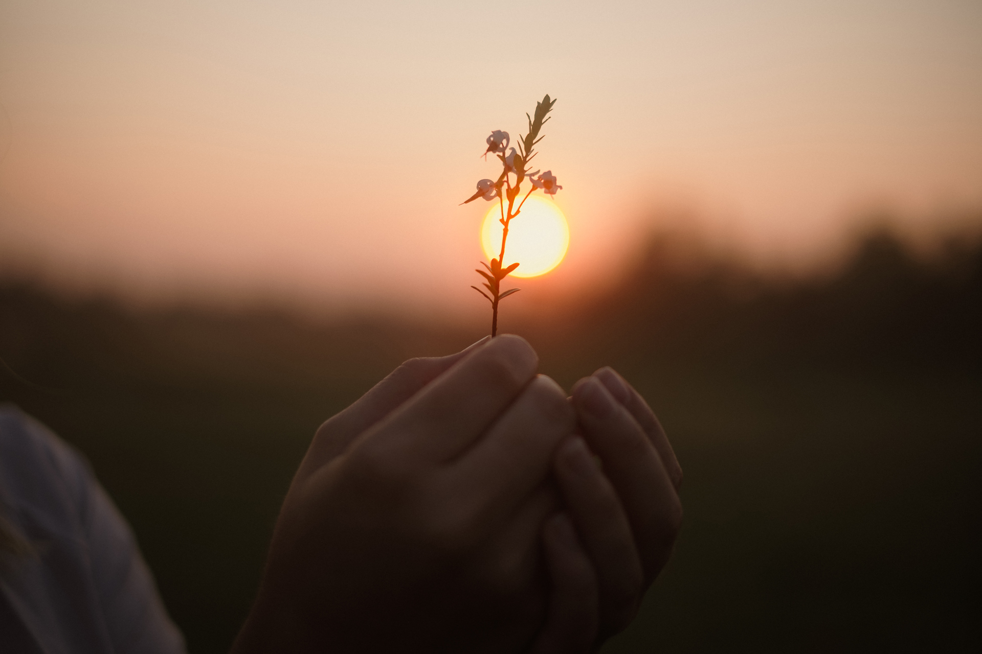 Sustainable Development