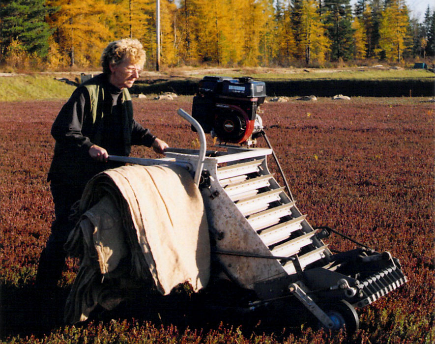 Machine dans un champs de canneberge