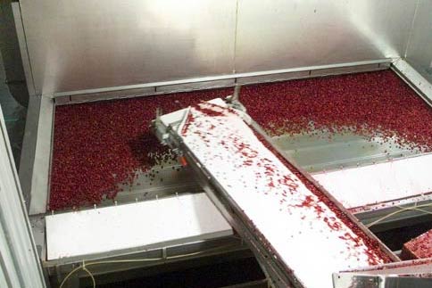 Nouvel équipement dans une usine Fruit d'Or