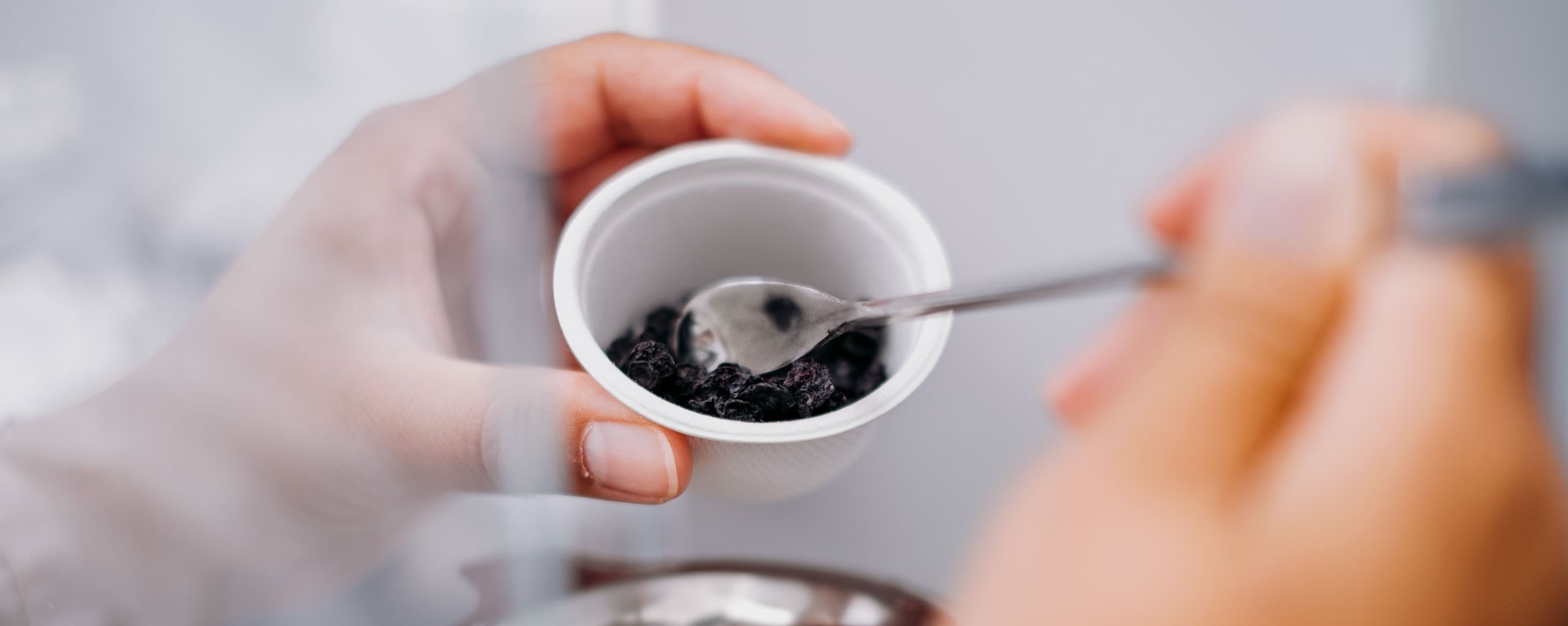 testing on tea dried blueberries