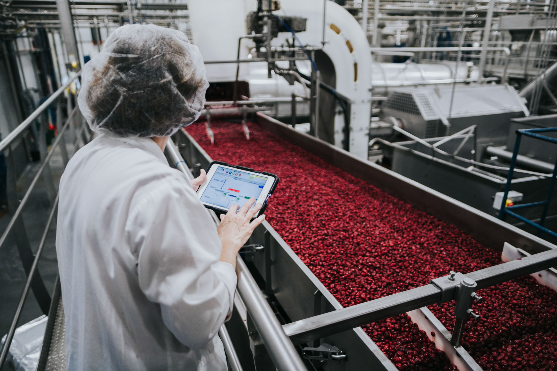 dried cranberries in factory