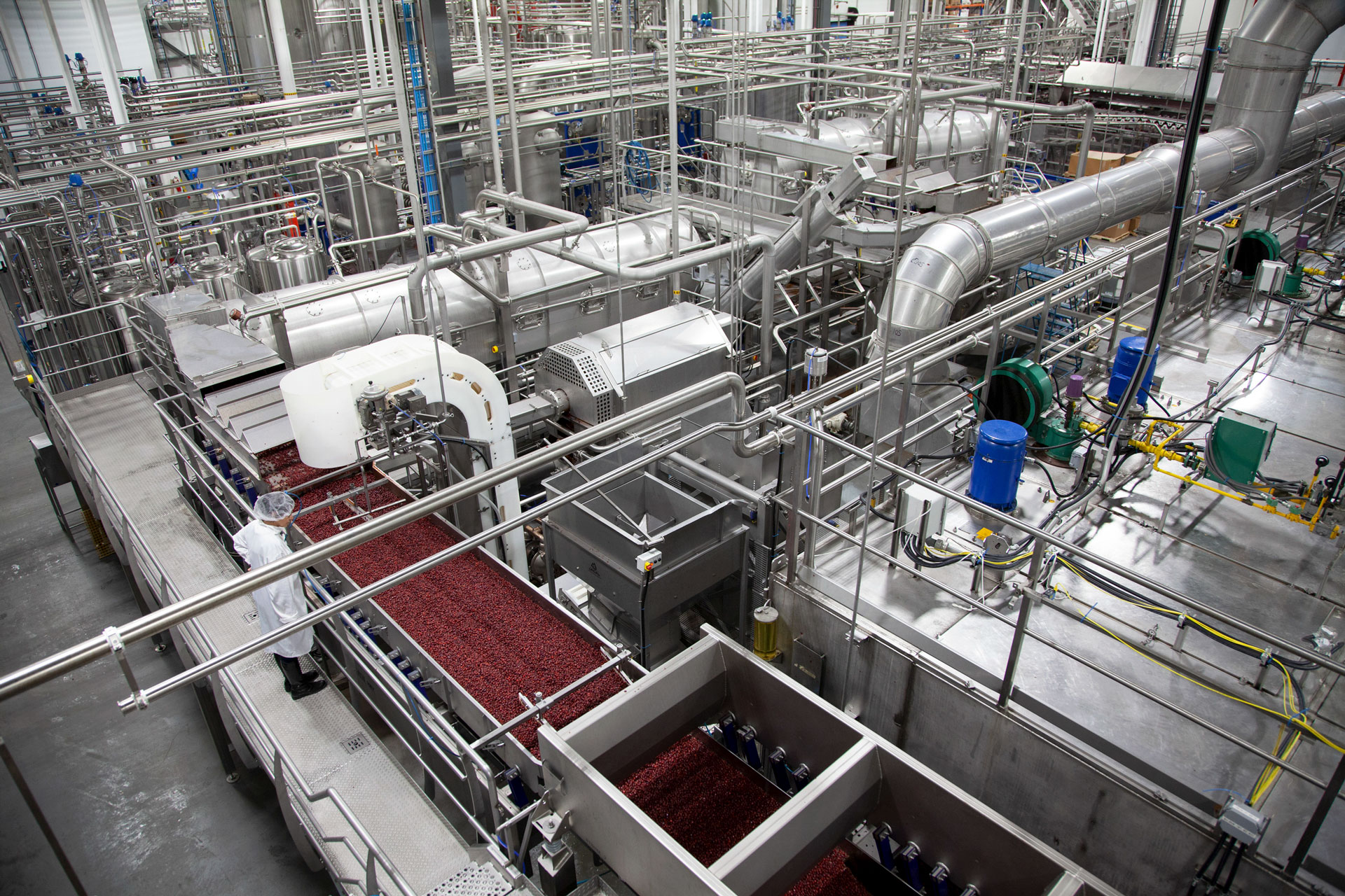 Usine et canneberges séchées