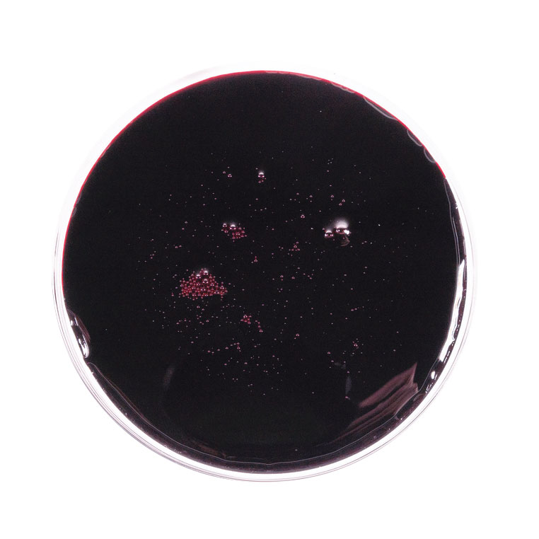blueberry juice concentrate