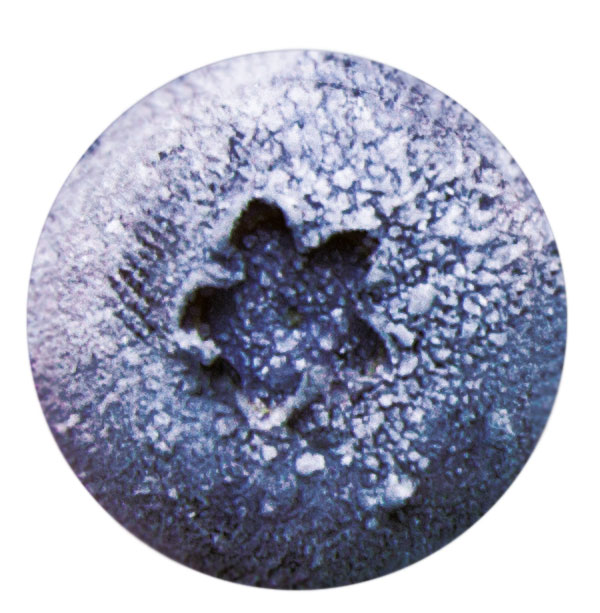 frozen blueberry