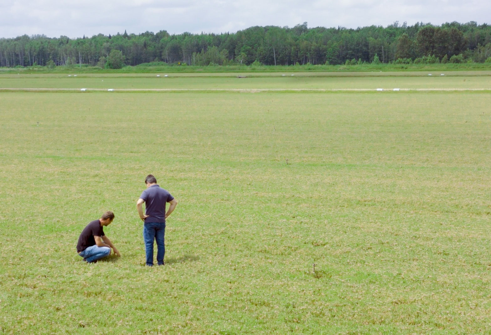 Fruit D'or : Canneberges King Testimonial / English Subtitles
