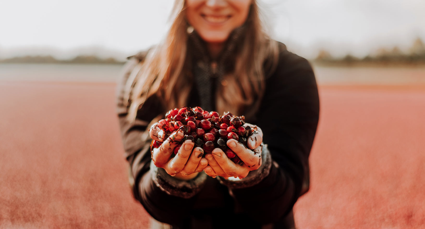 Hands holding cranberries