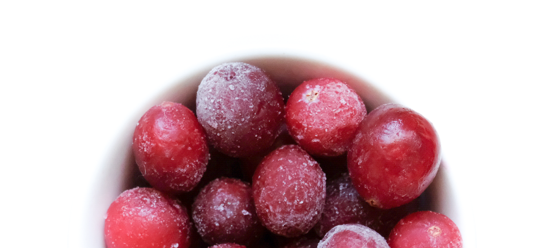 Organic frozen first selection cranberry supplier