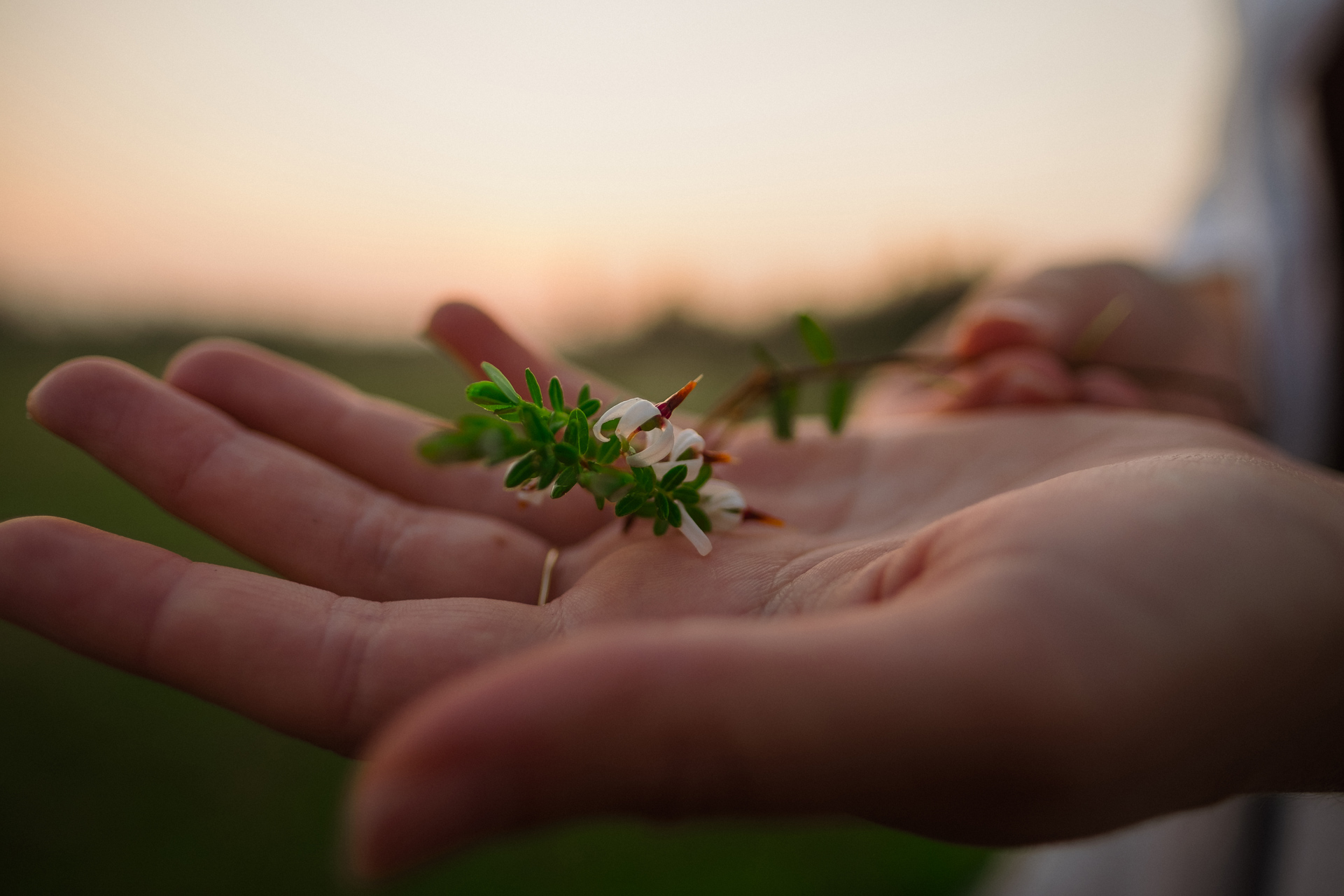 Between Floral Potential and Weather Challenges