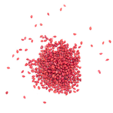 Graines de canneberges séchées biologiques de Fruit d'Or