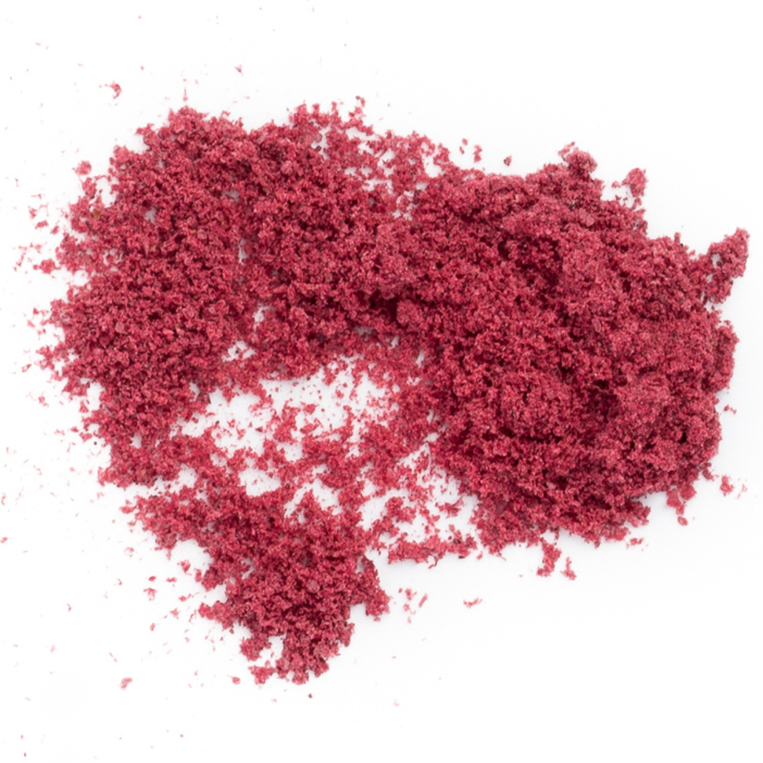 Poudre de canneberge 60 mesh de Fruit d'Or