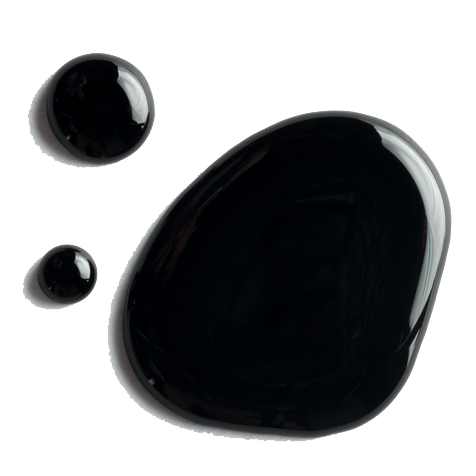 Concentré de jus de bleuets sauvages 65 brix Fruit d'Or