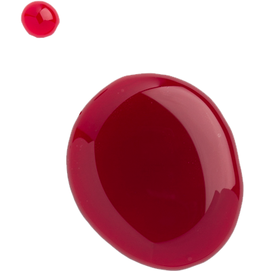 Fruit d'Or's Cranberry juice concentrate 50 brix
