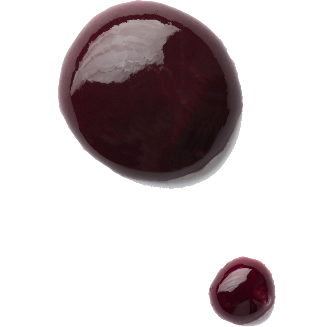 Purée de bleuet sauvage aseptique non sucrée (brix variable) de Fruit d'Or