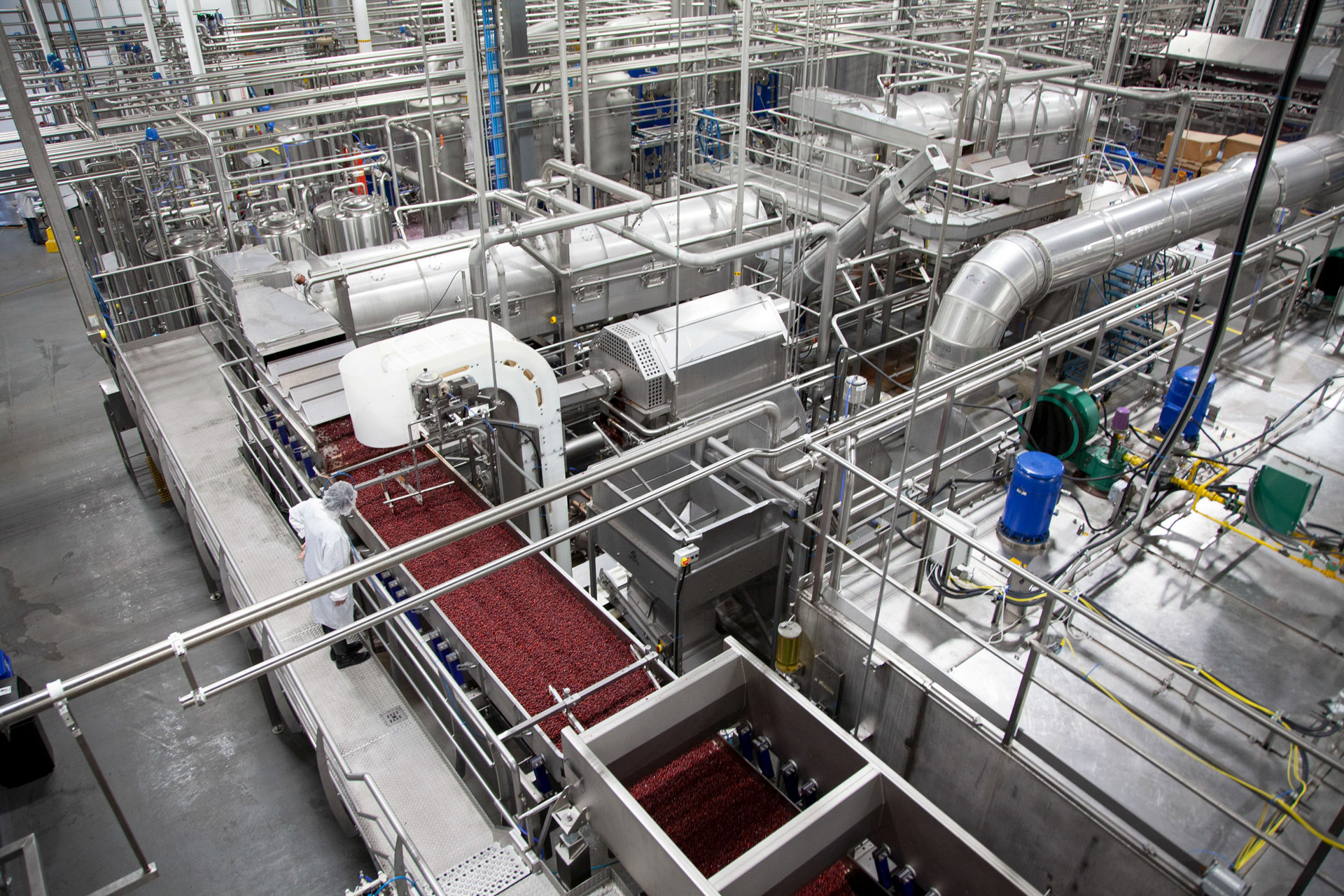 usine de transformation de canneberges de Fruit d'Or