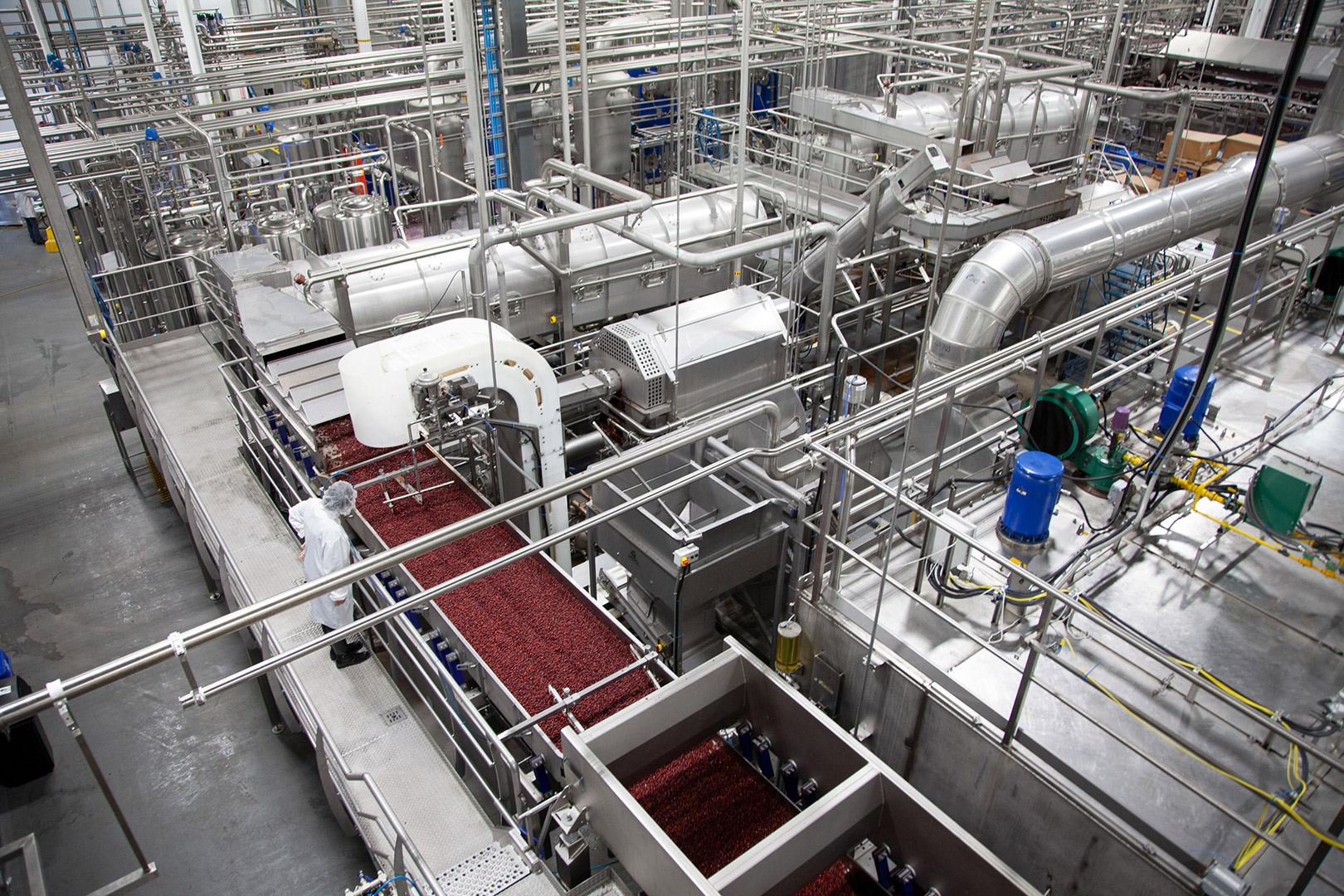 usine de transformation de canneberges de Fruit d'Or