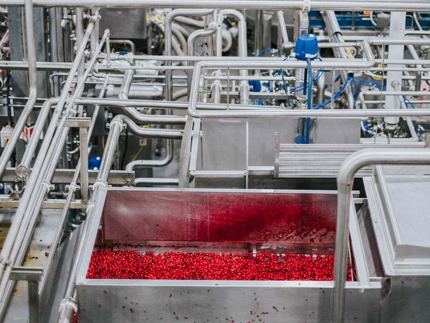 Fruit d'Or's facility drying station for cranberries