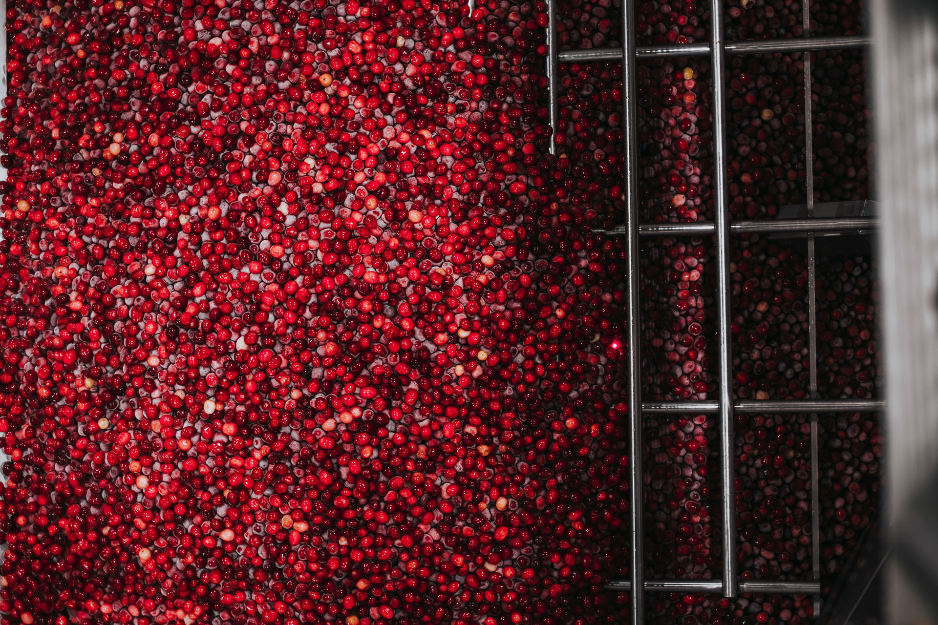 Fruit d'Or's dried cranberry line