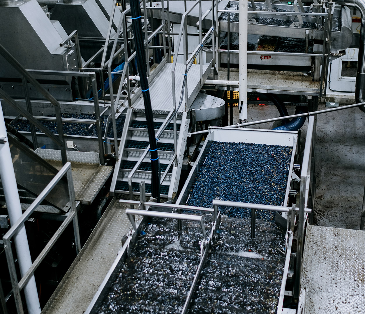 Ligne de concentré de jus de bleuets dans une usine de Fruit d'Or