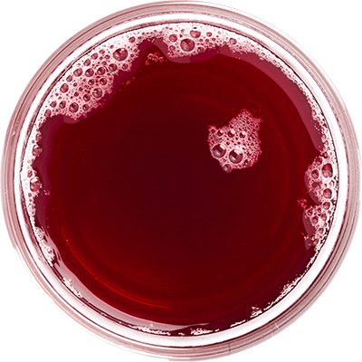 Fruit d'Or's Organic cranberry juice 8 brix