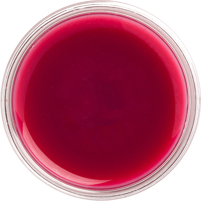 Organic unsweetened cranberry puree supplier